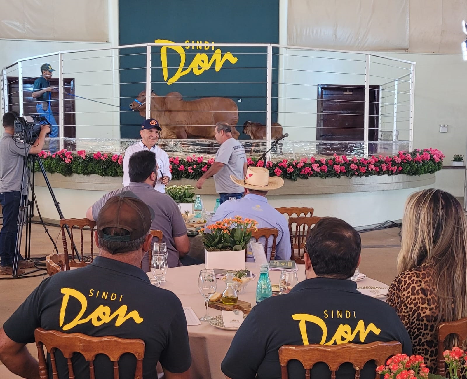 Sindi Don é peso pesado com Grandes Campeãs