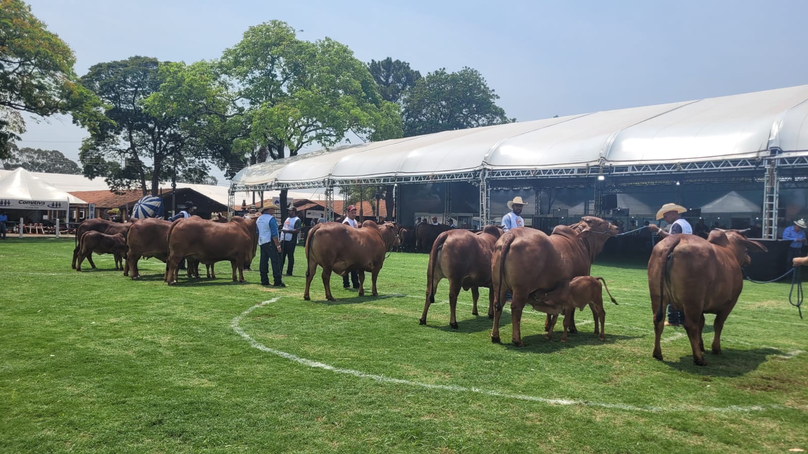 Nacional Rio Preto Resultados