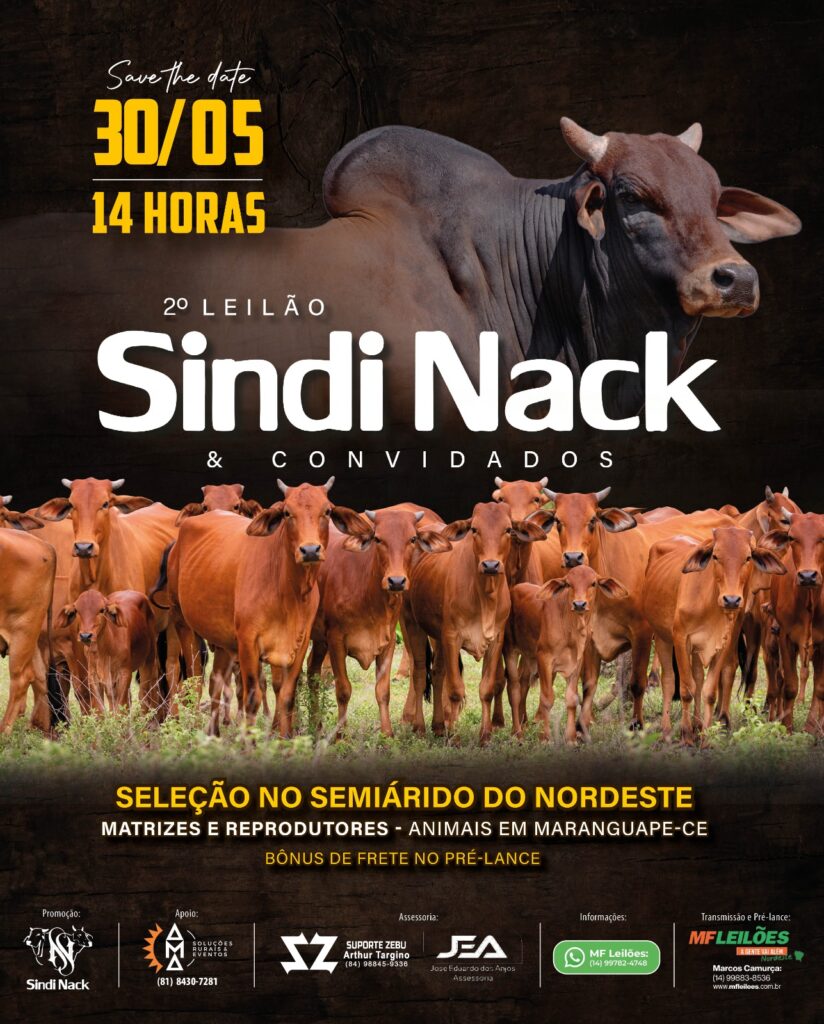 Leilão Sindi Nack