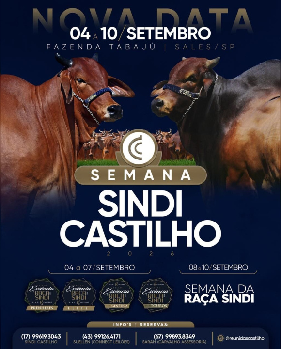 Semana Sindi Castilho 04 a 10 SETEMBRO