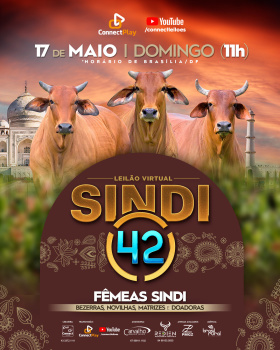 Leilão Virtual Sindi 42