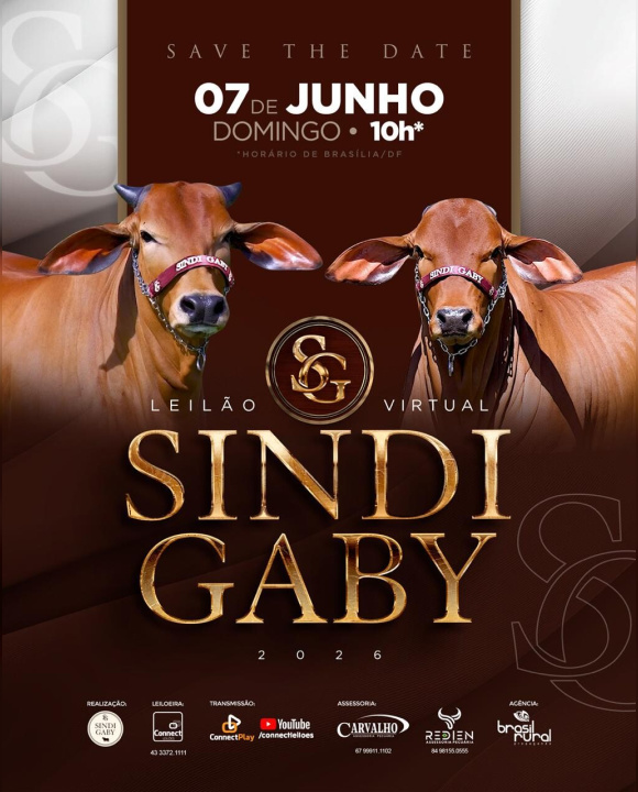 Leilão Sindi Gaby
