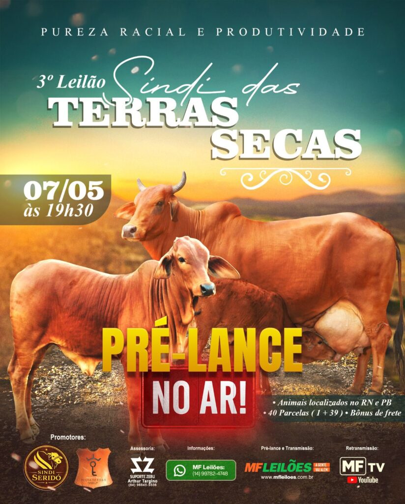 3º Leilão Sindi das Terras Secas
